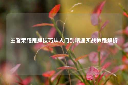 王者荣耀甩牌技巧从入门到精通实战教程解析