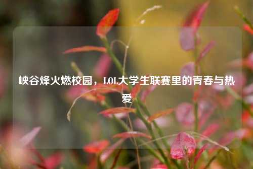 峡谷烽火燃校园，LOL大学生联赛里的青春与热爱