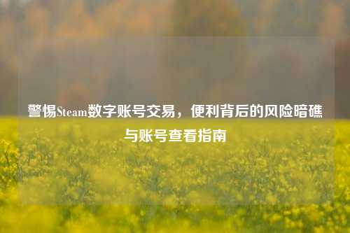 警惕Steam数字账号交易，便利背后的风险暗礁与账号查看指南