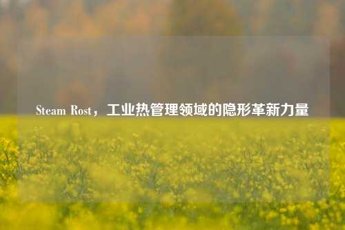 Steam Rost，工业热管理领域的隐形革新力量