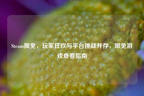 Steam限免，玩家狂欢与平台挑战并存，限免游戏查看指南