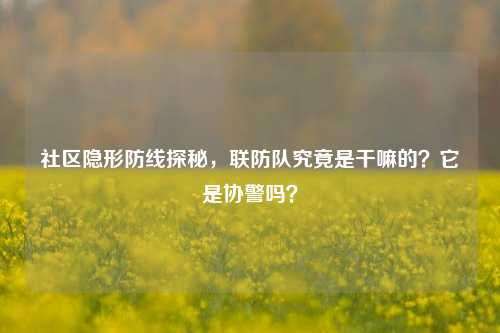 社区隐形防线探秘，联防队究竟是干嘛的？它是协警吗？